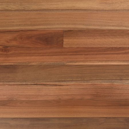Wooden-Land Spotted Gum Engineered Timber Flooring